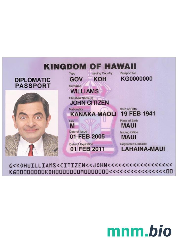 Wiza Hawaii w pełni edytowalna PSD